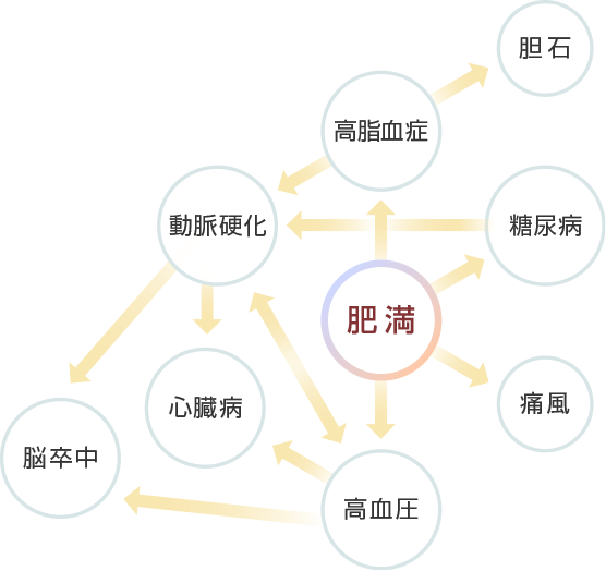 肥満からの病気相関図